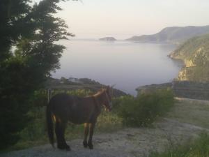 ΑΛΟΝΝΗΣΟΣ,ΑΠΟ ΤΗΝ ΠΕΡΙΟΧΗ ΧΩΡΑ ΑΛ/ΣΟΥ ΠΡΟΣ ΠΕΡΙΟΧΗ ΑΓΑΛΛΟΥ ΛΑΚΚΑ,ΧΤΕΣΙΝΗ ΦΩΤΟΓΡΑΦΙΑ.